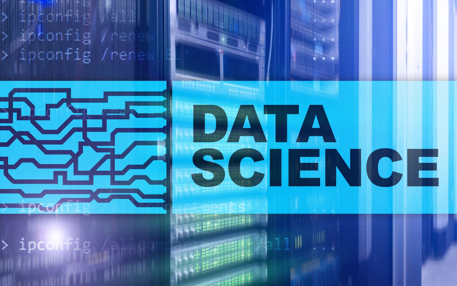 Data Science Job Support